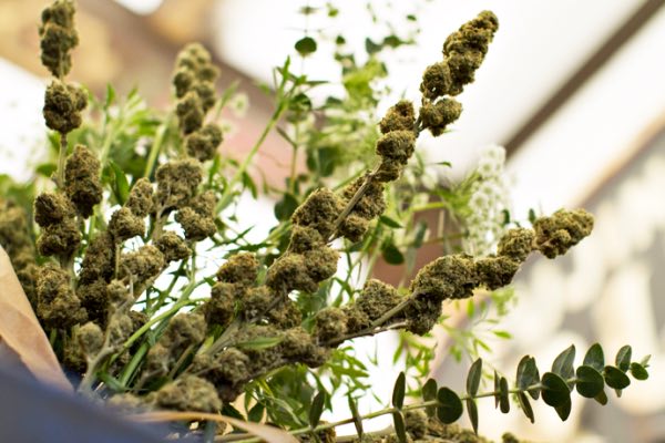 blumenstrauss-aus-cannabis-tipp-fur-den-valentinstag